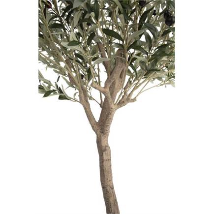 Coco Maison Olive Tree H180cm kunstplant